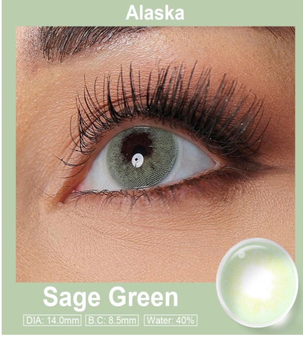 Colored Lenses/ Pupilentes